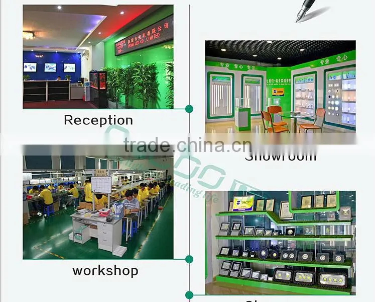 CE RoHS UL Meanwell driver Sumsung IP65 20000lm PIR sensor led floodlight 20w
