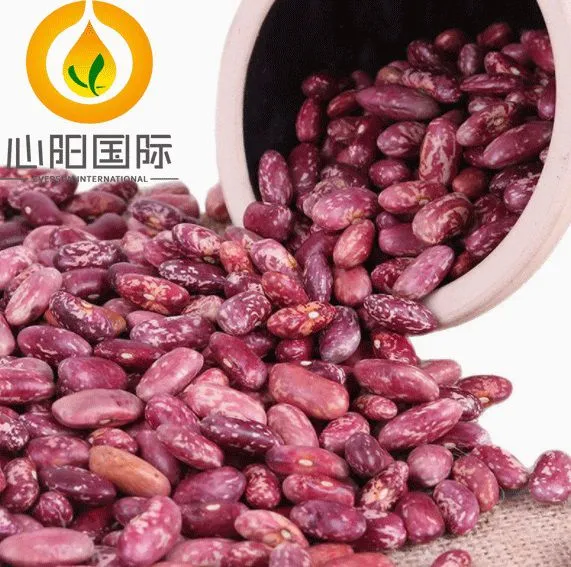 8fd054f1a0c79531168defb7b7f2b99e.jpg
