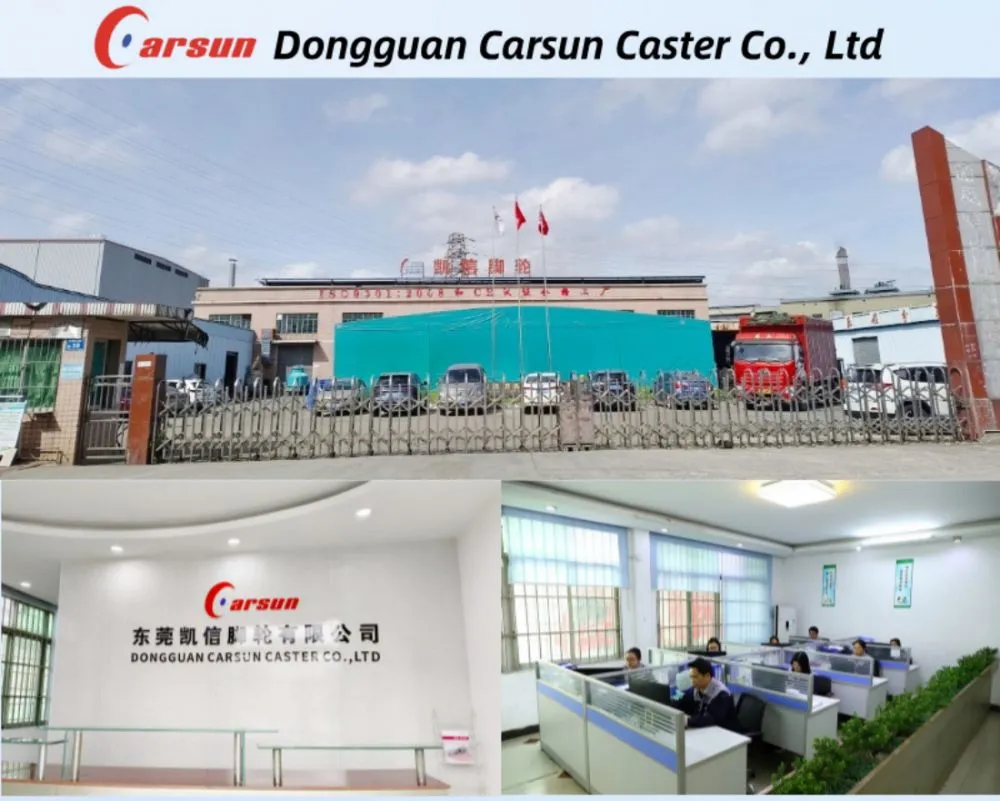 Dongguan Carsun Caster Co., Ltd. Factory (1).jpg.webp