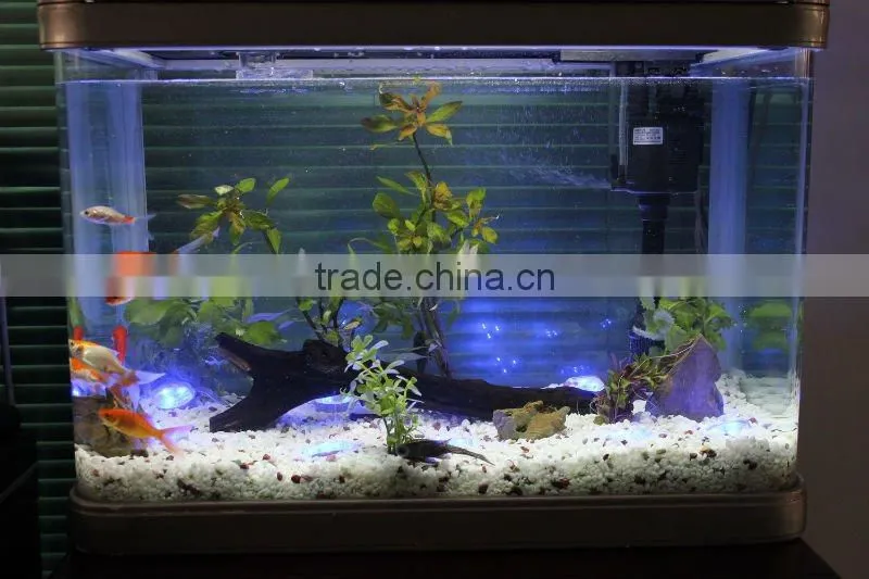 YD IP68 waterproof underwater display LED RGB point light source