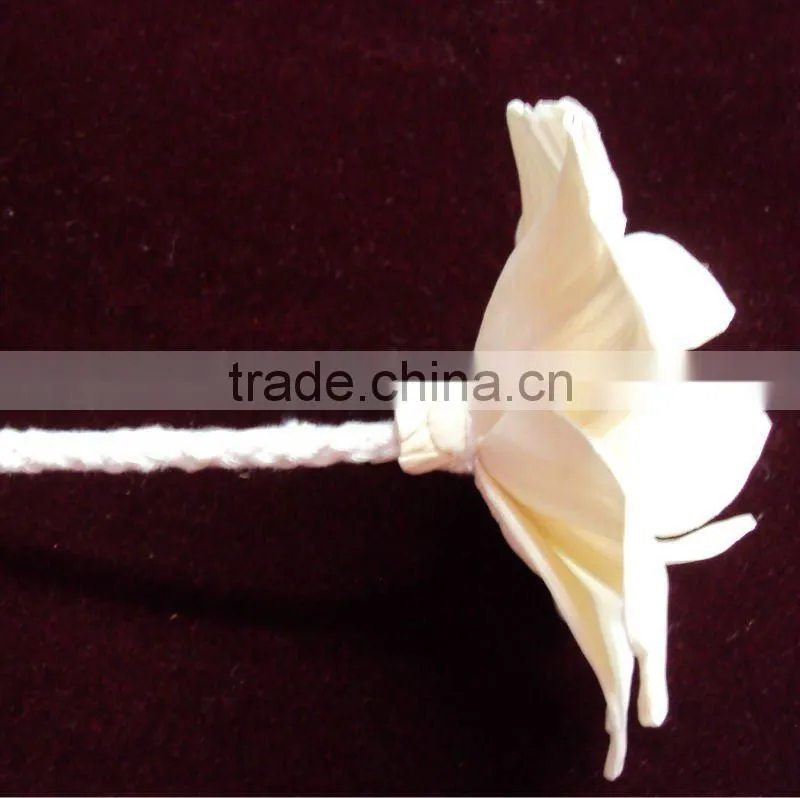 Sola wood flower