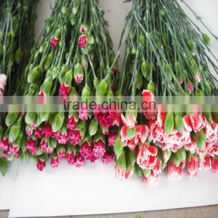 Alibaba china classical carnation for wedding stage backdrop decoration