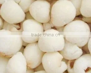 FROZEN LYCHEE FOR SALE