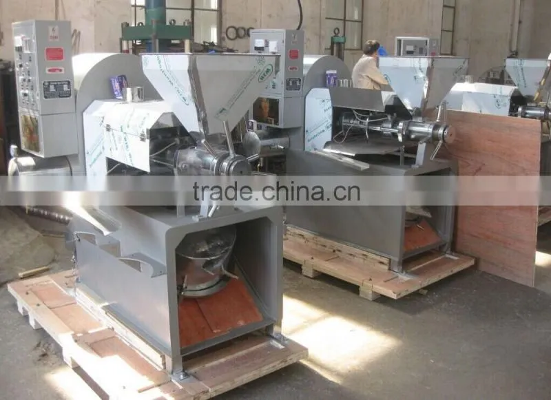 Hot sale in Africa baobab seeds oil press machine from Dingsheng