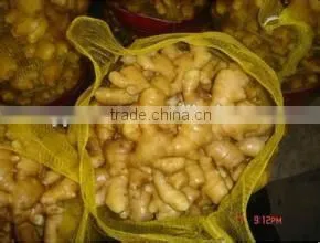 New crop ginger garlic paste with competitive export price