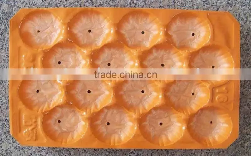Thermoformed Plastic Food Packaging Insert Liner