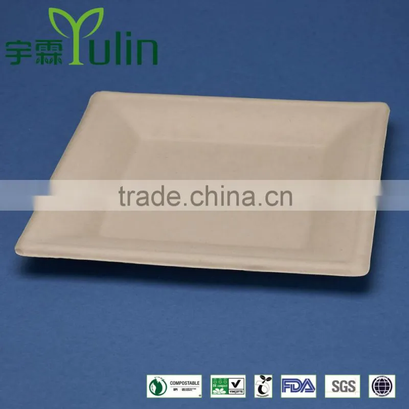 T028-UB unbleached 10 inches disposable flate square sugar cane paper plate
