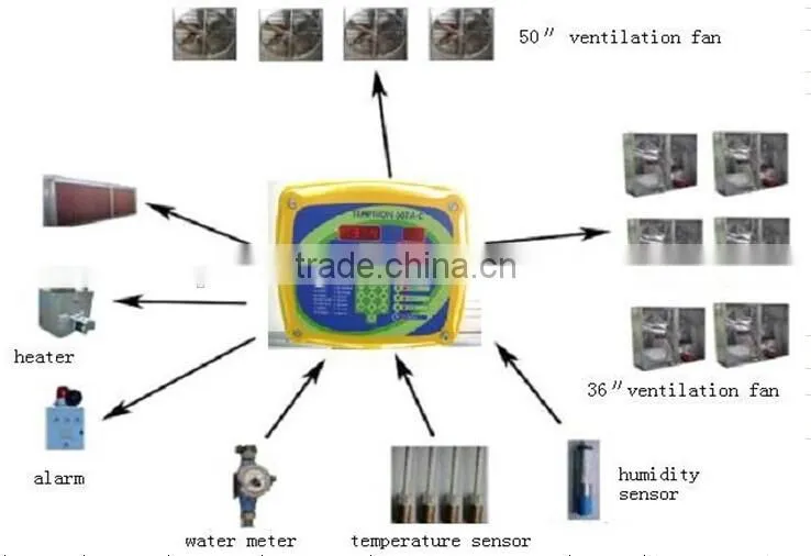 Turnkey project professional automatic poultry chicken farm house
