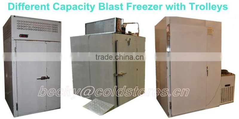 Stainless steel mini blast freezer and chiller for food 12kg