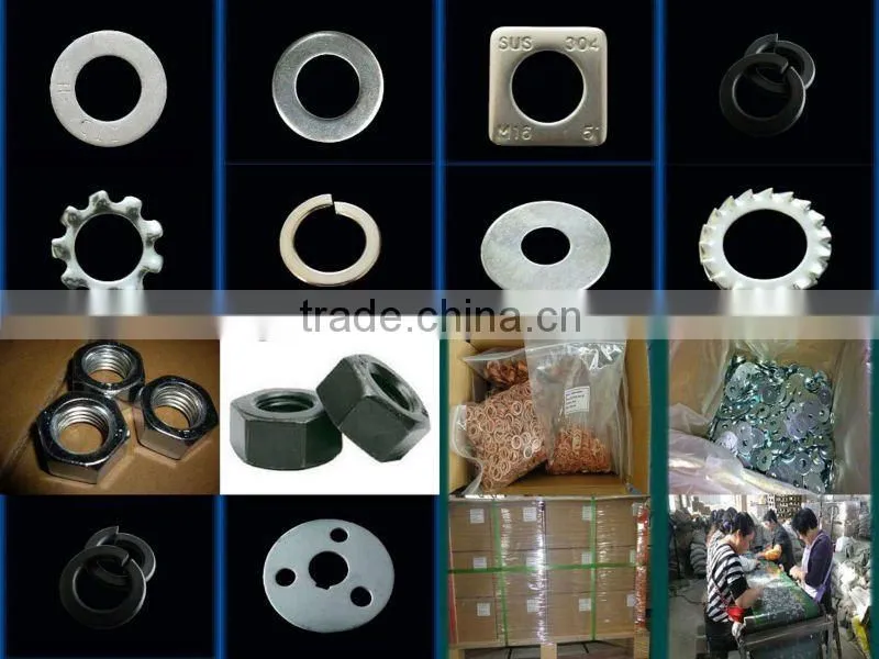 high quality internal teeth serrated lock washer DIN6798 on sale