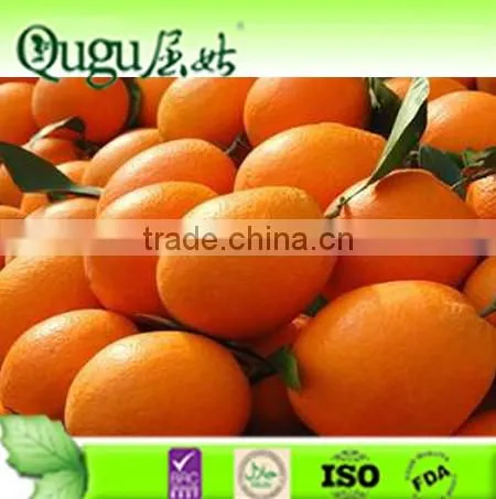 2016 China fresh Juicy Sweet Citrus