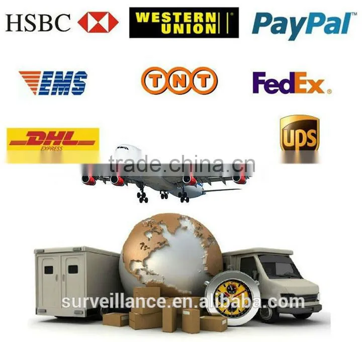 wireless hidden ip camera support mobile suveillance P2P function