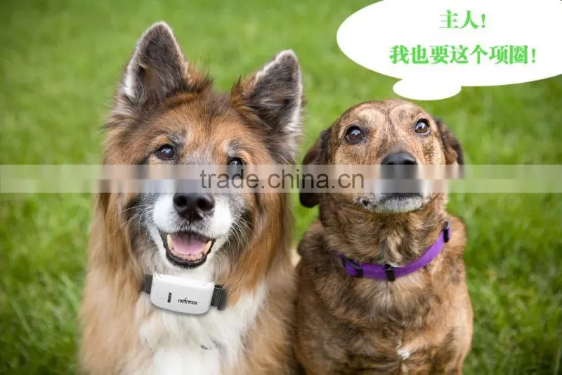 2016 new GPS pets Tracker/gps tracker for persons locator and pets/mini gps tracker