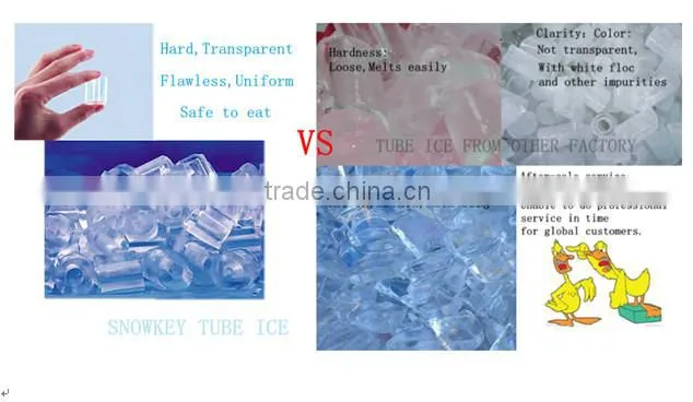 Tube Ice Plant Tube Ice Making Machine Tube Ice Maker in Southeast Asia Mid-East with Stainless Steel for Eating