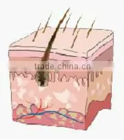 powerful ipl skin care ance removal facial machines skin care