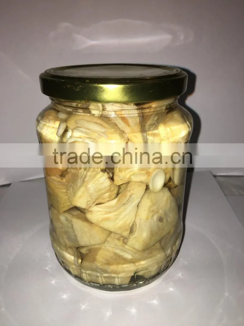 Young Jackfruit in Brine ( Big Pieces)