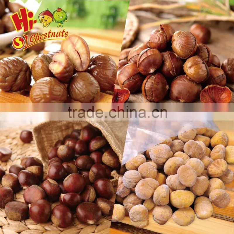 hot sale hebei new crop fresh chestnut nuts
