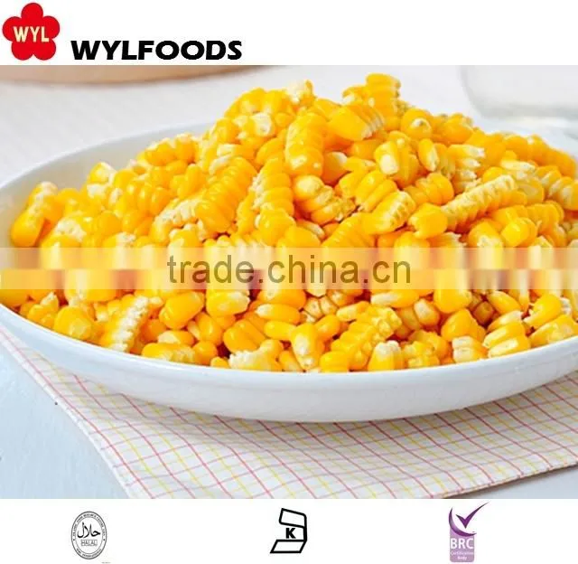 high quality iqf frozen sweet corn