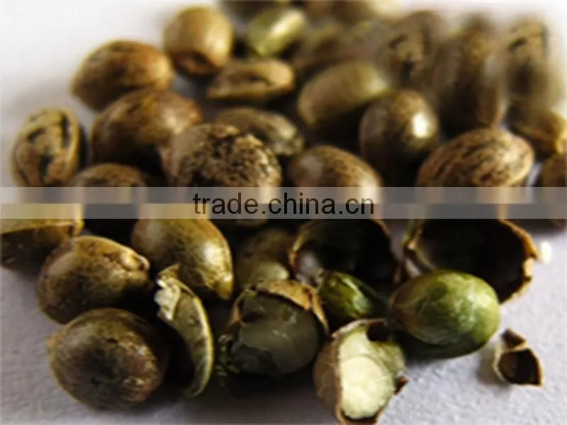 Factory direct sale organic hemp seed oil for pharmaceuticals