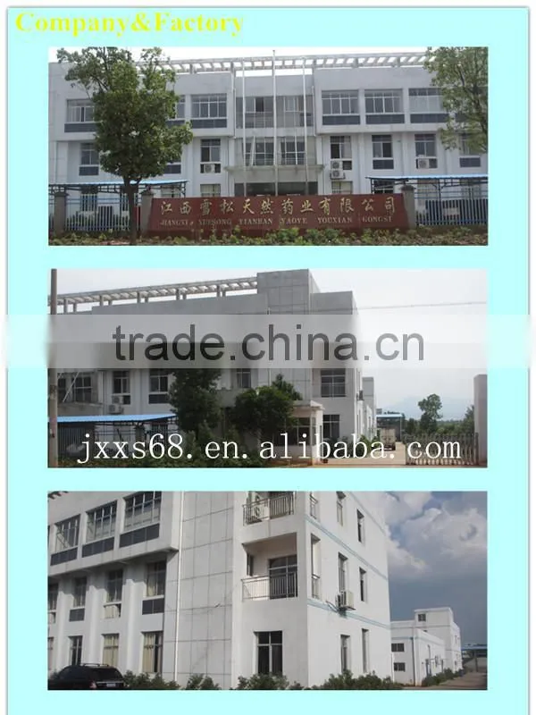 China best selling natural pine oil 85% price for export