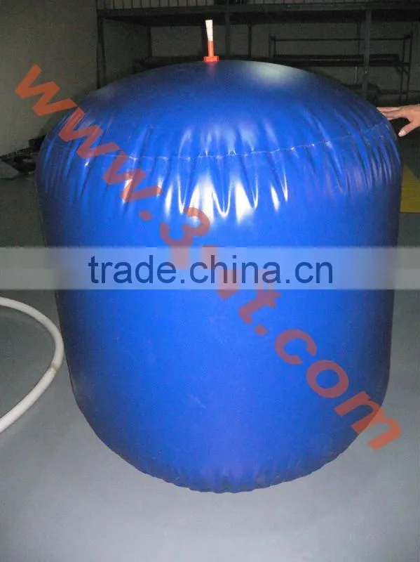 Gas Bladder