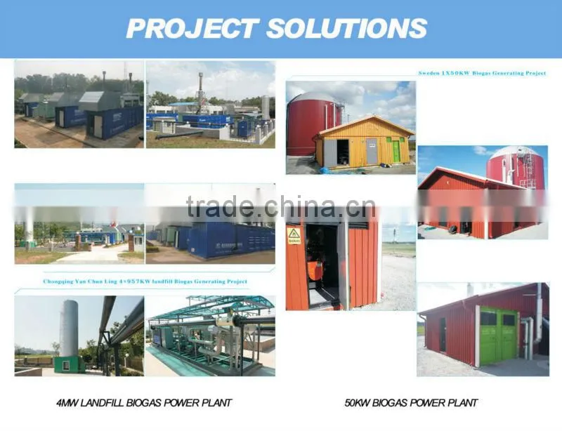 200KW CHP Biogas Generator With CE And ISO Certificate