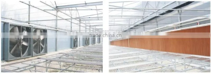 Greenhouse farm for sale 7090 evaporative cooler pad Malaysia