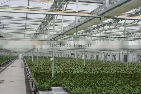 Venlo Roof Type Glass Greenhouse