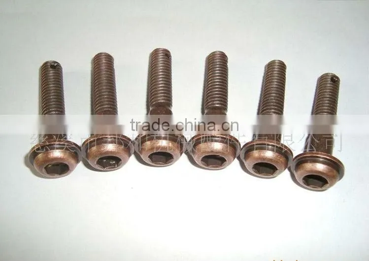 antique bronze coffin screw