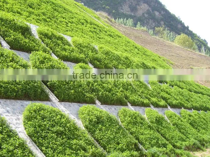 China small and mobile hydro seeding machine