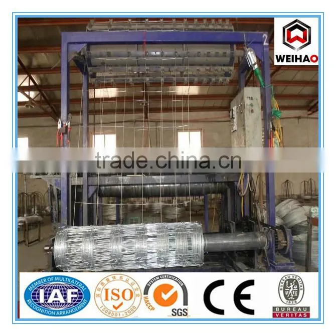 High Quality Galvanized Calf Cattle Fence