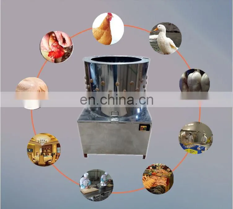 Broiler chicken machine chicken feather cleaning machine chicken plucker 40 size