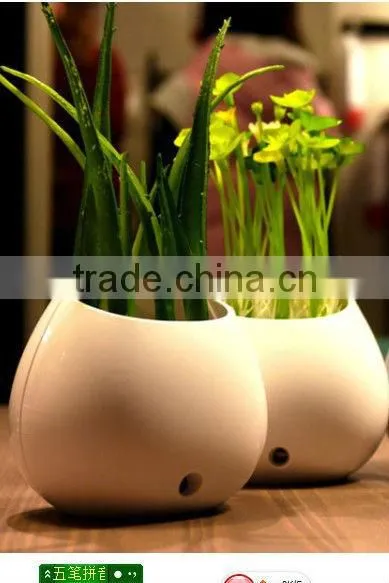 ShenZhen Potted Plants LED Night Light