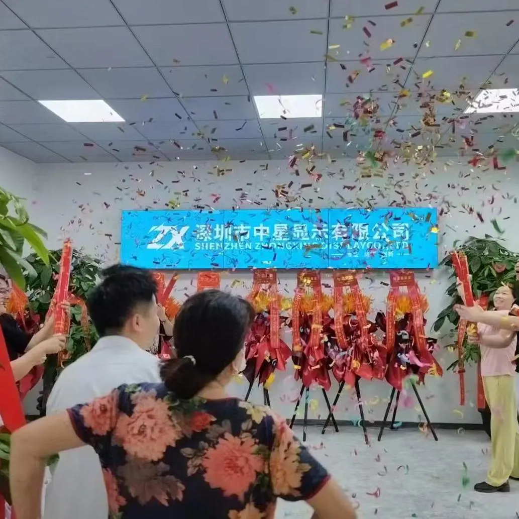 Shenzhen Zhongxing Display Co., Ltd company overview - view 1