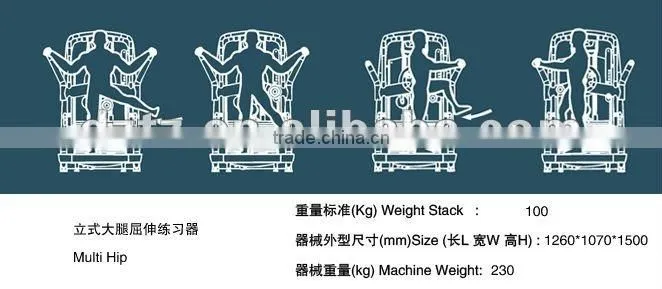 2016 good quality muscle exercise gym machine/new popular Multi Hip