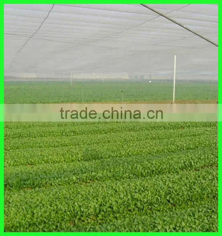china factory supply insect screen net durability and longevity