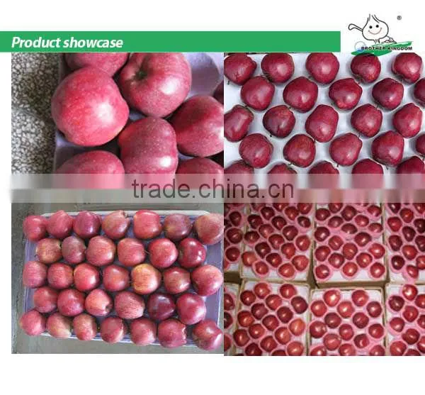 huaniu apple/ red delicious apple