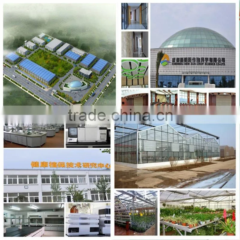 NEWSUN Anti-Cold foliar fertilizer for improving cold resistance of crops