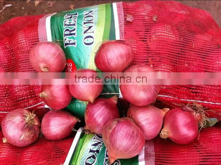 onions exporters