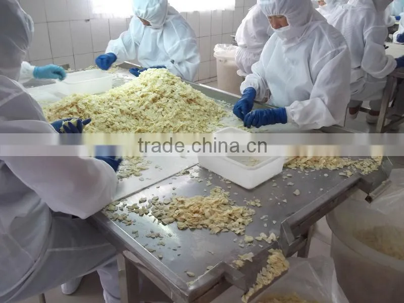 Dry Garlic Flakes Dried Garlic Flakes Dehydrtated Garlic Flakes 1.0-2.2MM