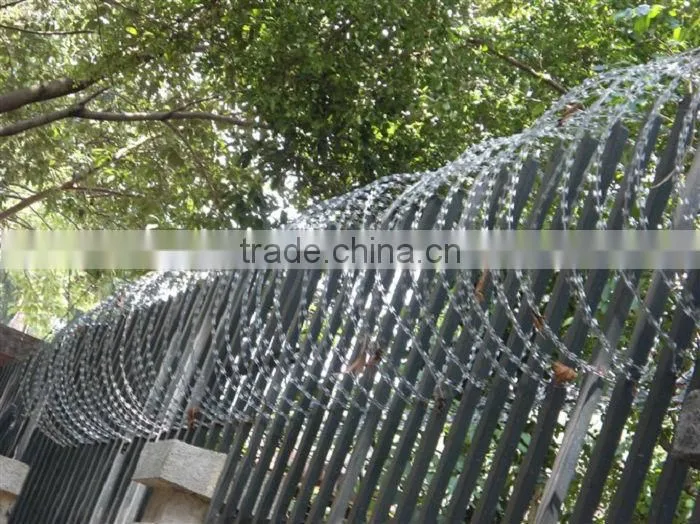 Galvanized Concertina Razor Wire