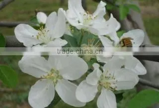 Tianshui Jia Wei Commercial And Trade Co., Ltd. company overview - view 1