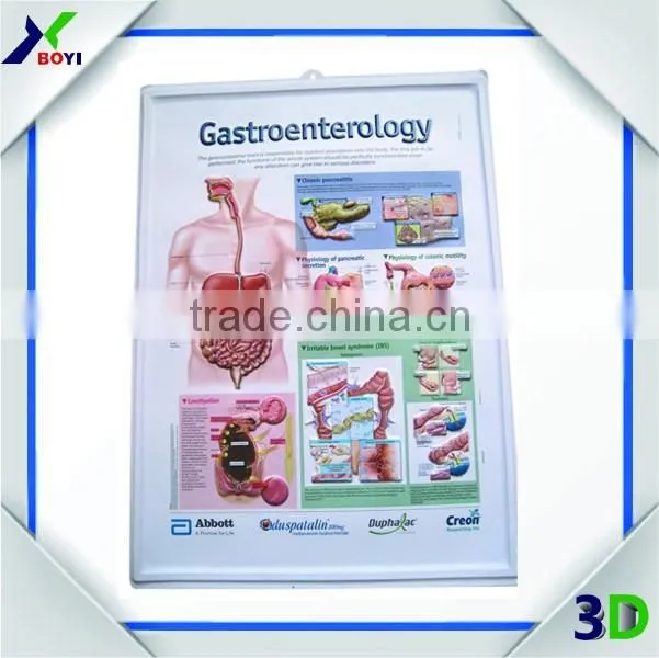 New Designs 3D PVC embossed medical poster
