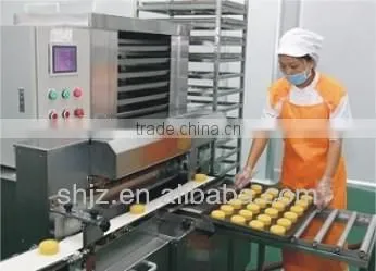 Automatic Cookies/mooncake Encrusting Machine