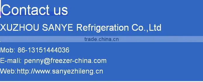 Chinese manufacturer sanye best sale ice ball maker ZBJ