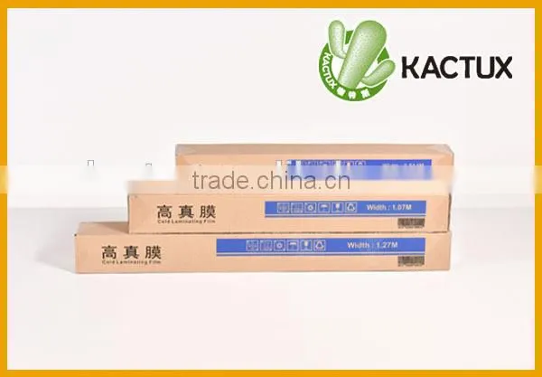 Cold lamination film for protection