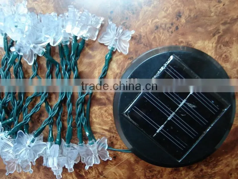 led rope light 12V 110V