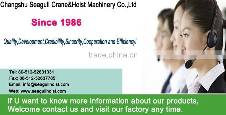high quality prices of toyo lever block manufacturer approved CE&GS