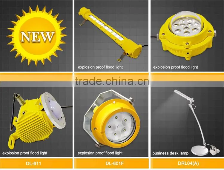 Rechargeable dvr flashlight