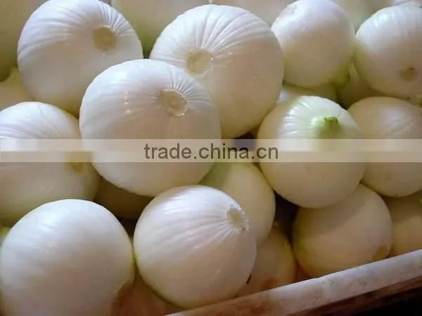 Three belts onion peeling machine/peeling onion machine/onion stripper/onion processing machine
